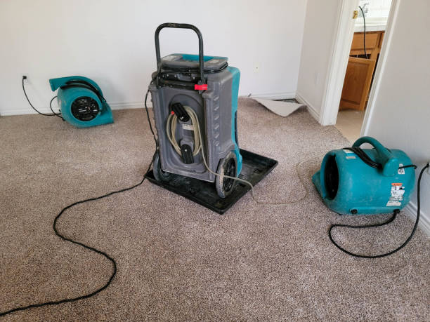 Best Flooded house restoration  in Algonac, MI