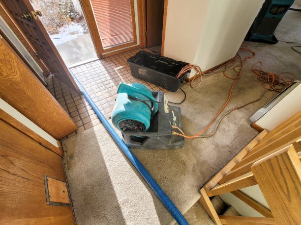 Best Water damage restoration specialists  in Algonac, MI