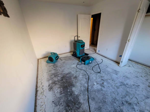 Best 24-hour water damage restoration  in Algonac, MI